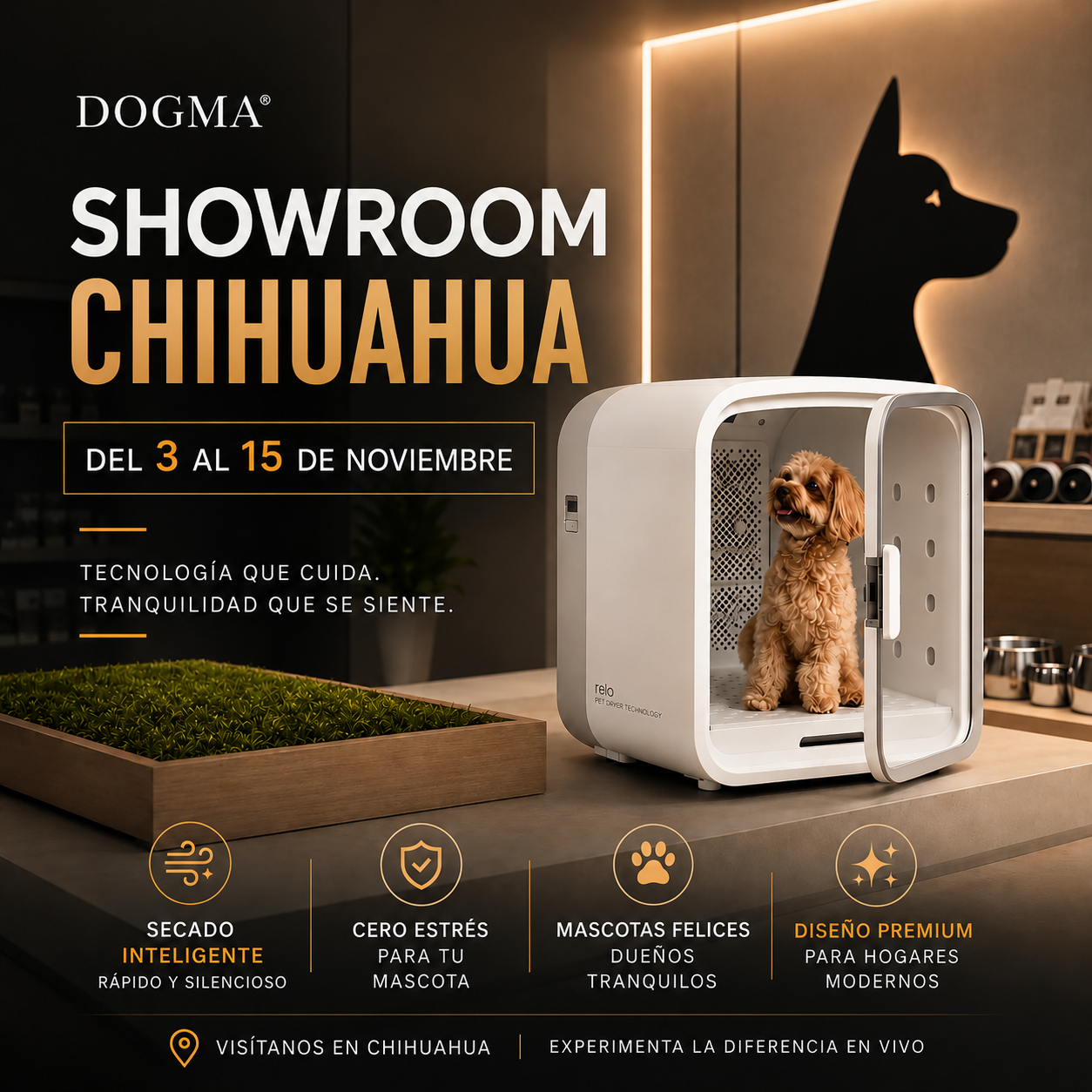 DOGMA® DRIVE CUBE — Tu mascota seca y tranquila en minutos