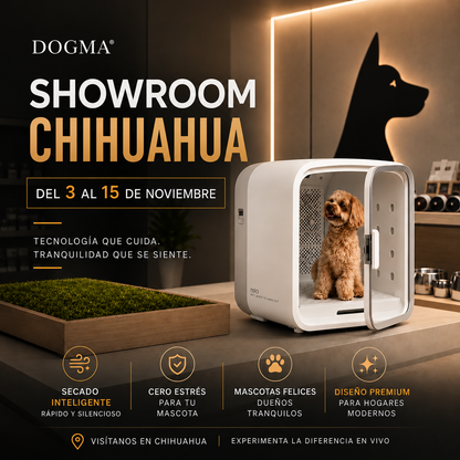 DOGMA® DRIVE CUBE — Tu mascota seca y tranquila en minutos