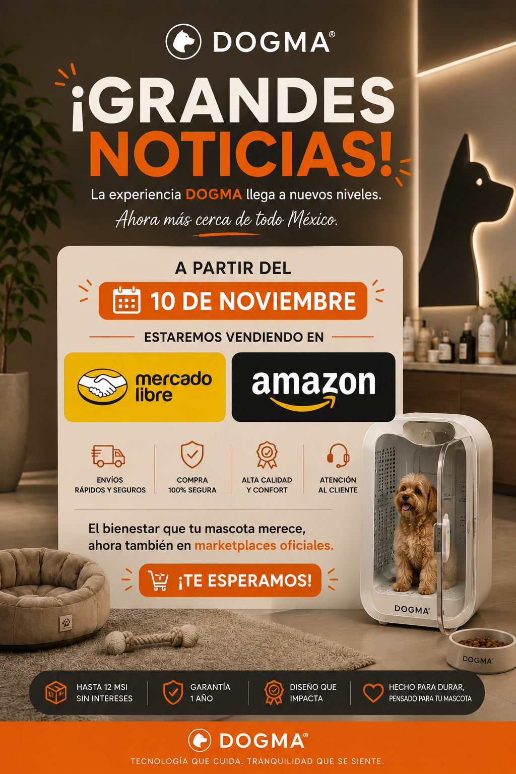 DOGMA® DRIVE CUBE — Tu mascota seca y tranquila en minutos