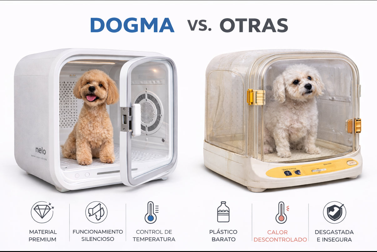 DOGMA® DRIVE CUBE — Tu mascota seca y tranquila en minutos