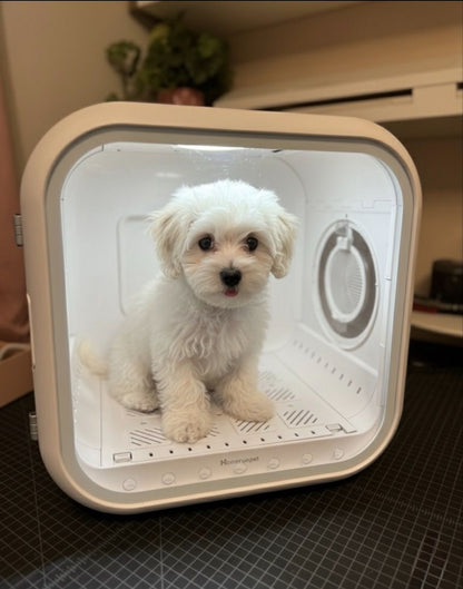 DOGMA® DRIVE CUBE — Tu mascota seca y tranquila en minutos