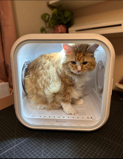 DOGMA® DRIVE CUBE — Tu mascota seca y tranquila en minutos