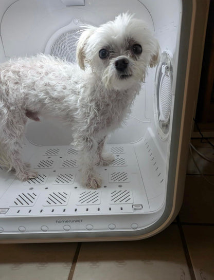 DOGMA® DRIVE CUBE — Tu mascota seca y tranquila en minutos