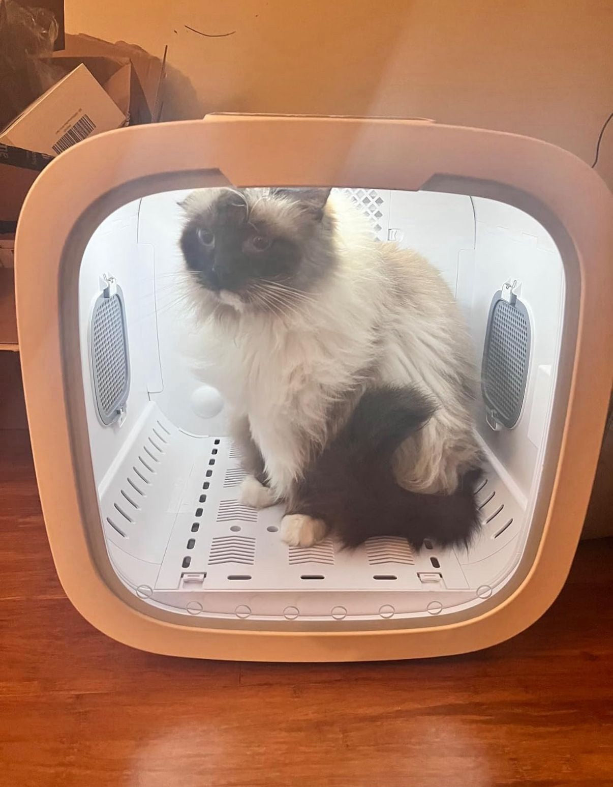 DOGMA® DRIVE CUBE — Tu mascota seca y tranquila en minutos