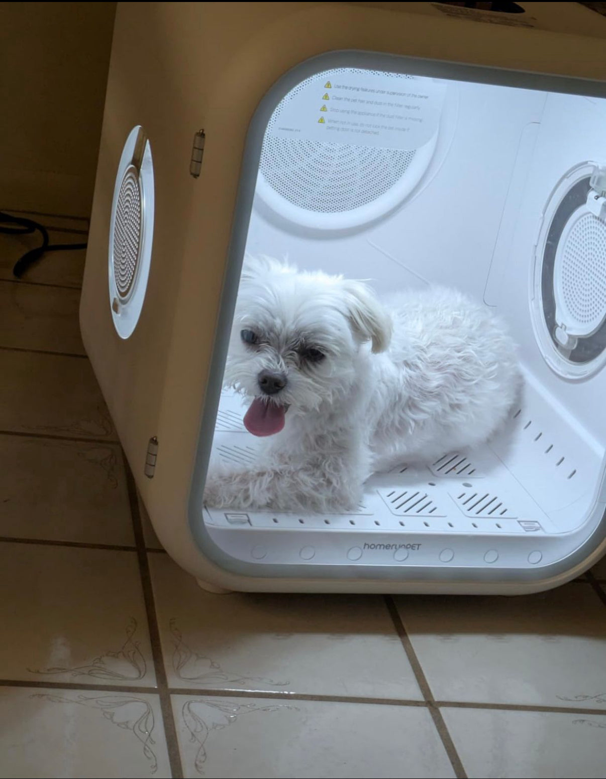 DOGMA® DRIVE CUBE — Tu mascota seca y tranquila en minutos
