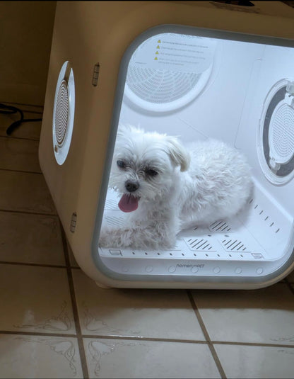 DOGMA® DRIVE CUBE — Tu mascota seca y tranquila en minutos