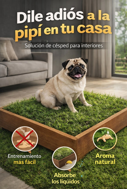 DOGMA® PETGARDEN — Tu peludito feliz, tu hogar siempre limpio