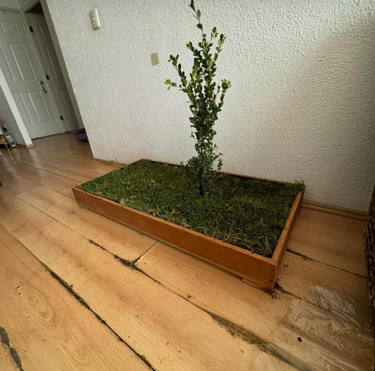 DOGMA® PETGARDEN — Tu peludito feliz, tu hogar siempre limpio