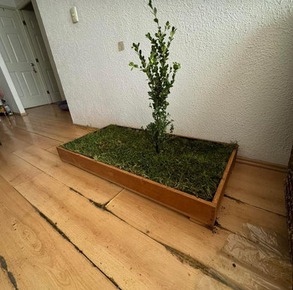 DOGMA® PETGARDEN — Tu peludito feliz, tu hogar siempre limpio