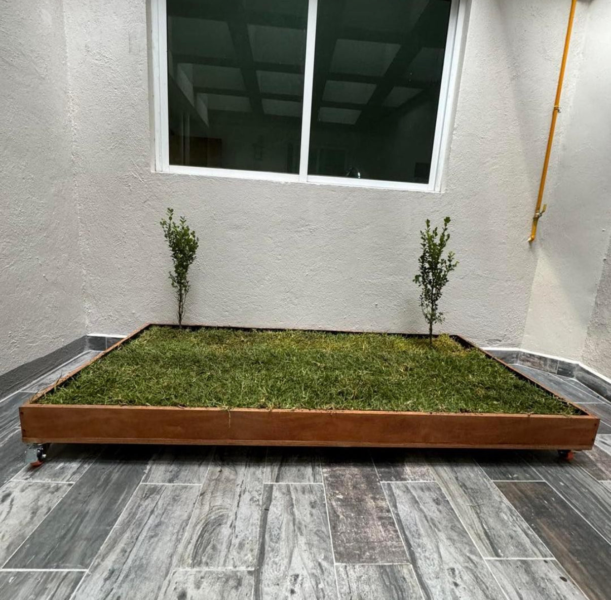 DOGMA® PETGARDEN — Tu peludito feliz, tu hogar siempre limpio