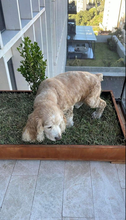 DOGMA® PETGARDEN — Tu peludito feliz, tu hogar siempre limpio