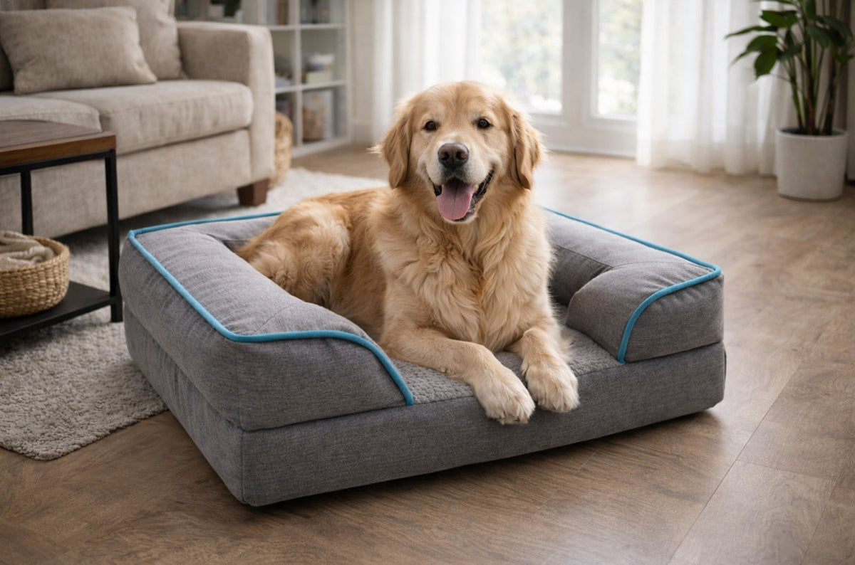 DOGMA® NIDO — Su nuevo lugar favorito en casa.