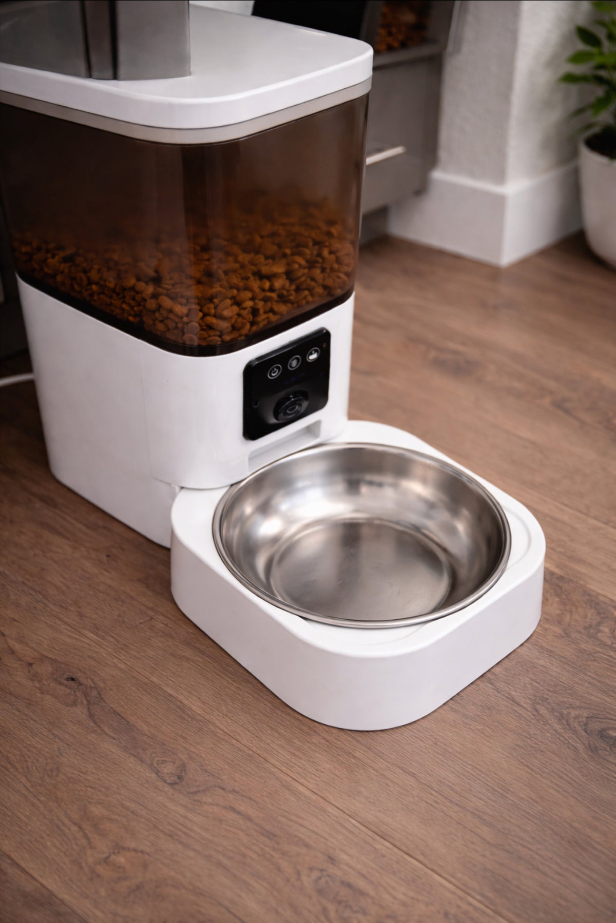 DOGMA® SMARTFEED — Su comida siempre a tiempo.