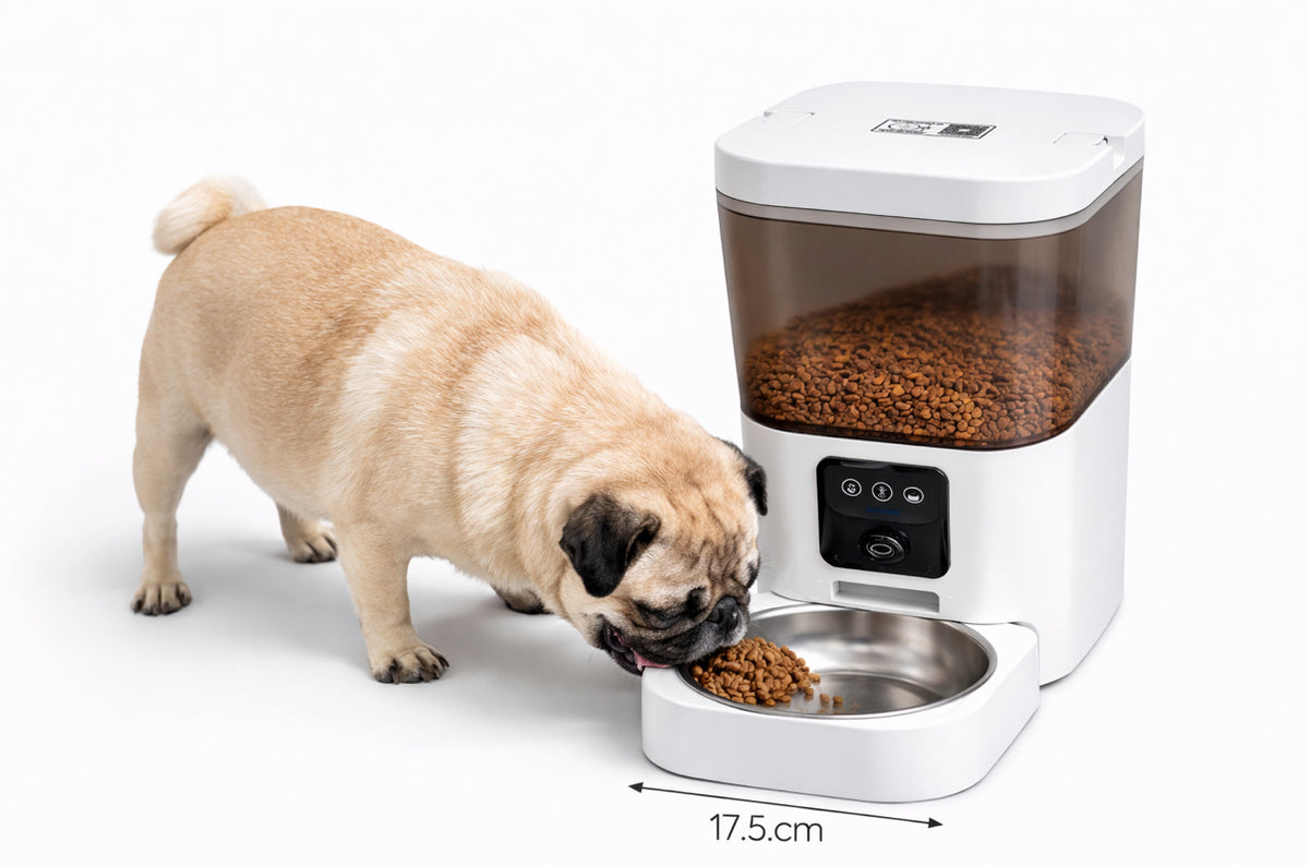 DOGMA® SMARTFEED — Su comida siempre a tiempo.