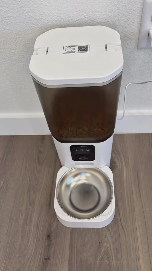 DOGMA® SMARTFEED — Su comida siempre a tiempo.