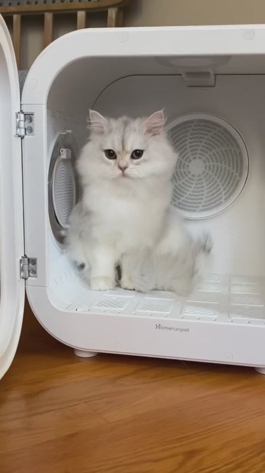 DOGMA® DRIVE CUBE — Tu mascota seca y tranquila en minutos