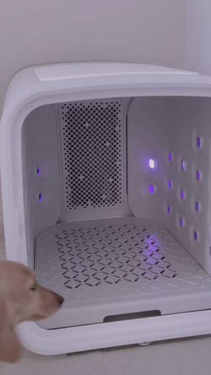 DOGMA® DRIVE CUBE — Tu mascota seca y tranquila en minutos